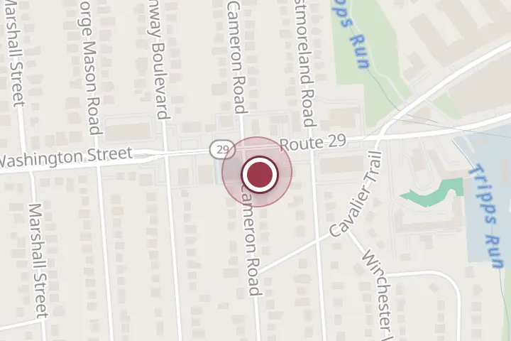 Street map around 7189 Lee Hwy, Falls Church, with a pin at Feline Veterinary Clinic