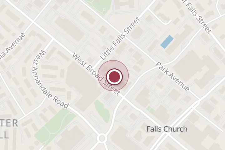 Street map around 246 W Broad St, Falls Church, with a pin at Lemon Lane Consignment